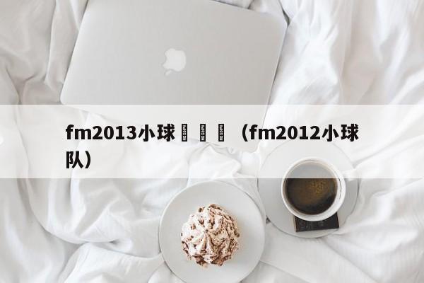 fm2013小球隊職員（fm2012小球隊）