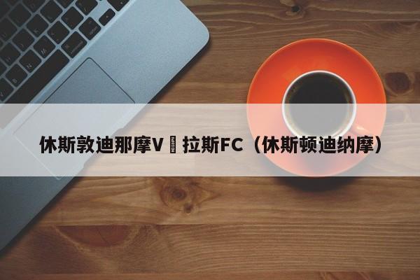 休斯敦迪那摩V達拉斯FC（休斯頓迪納摩）