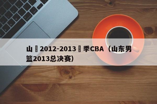 山東2012-2013賽季CBA（山東男籃2013總決賽）