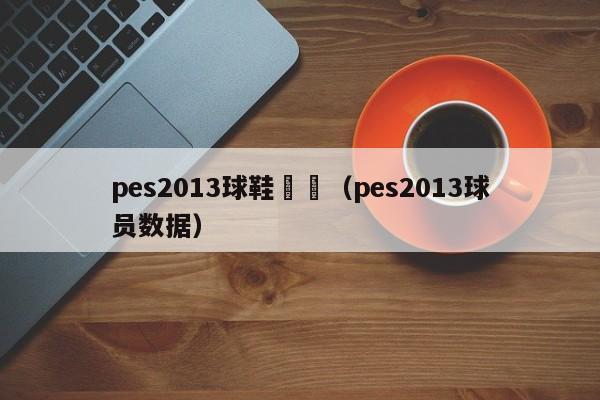 pes2013球鞋數據（pes2013球員數據）