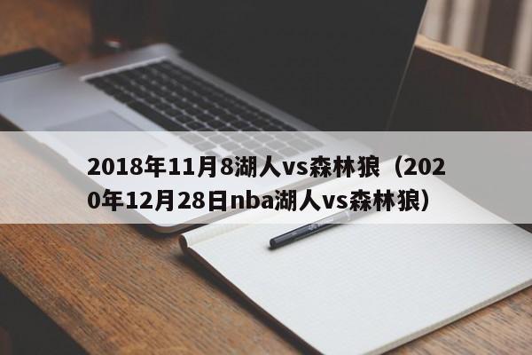 2018年11月8湖人vs森林狼（2020年12月28日nba湖人vs森林狼）