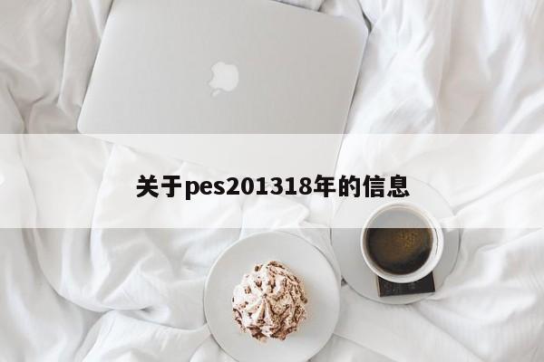 關於pes201318年的信息