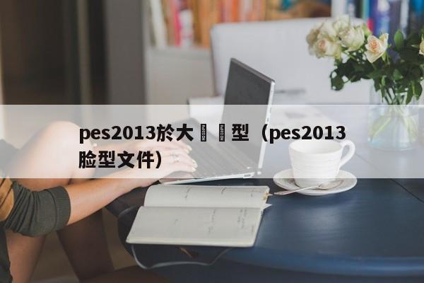 pes2013於大寶臉型（pes2013臉型文件）