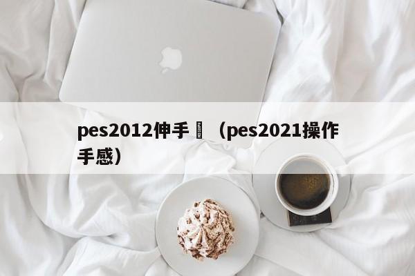 pes2012伸手黨（pes2021操作手感）