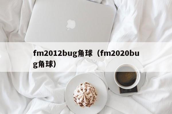 fm2012bug角球（fm2020bug角球）