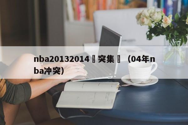 nba20132014衝突集錦（04年nba衝突）