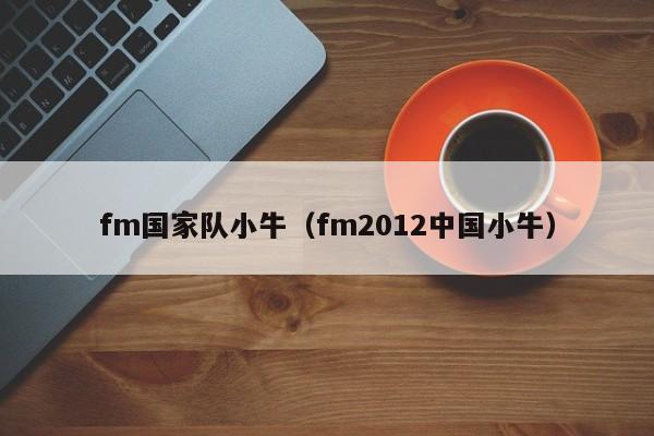 fm國家隊小牛（fm2012中國小牛）