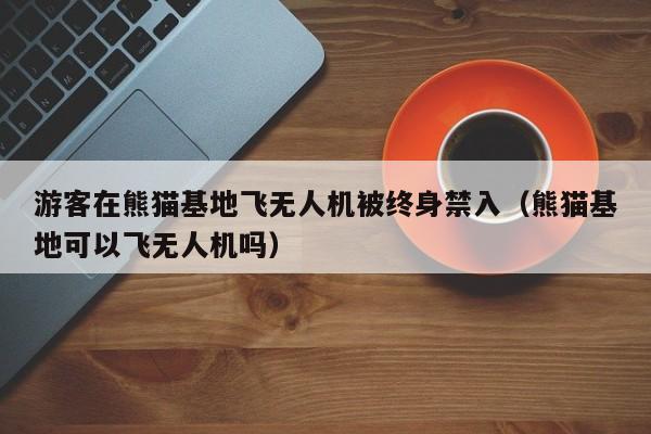 遊客在熊貓基地飛無人機被終身禁入（熊貓基地可以飛無人機嗎）