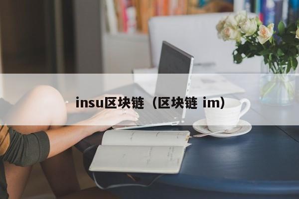 insu區塊鏈（區塊鏈 im）