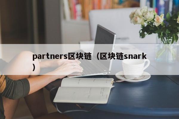 partners區塊鏈（區塊鏈snark）