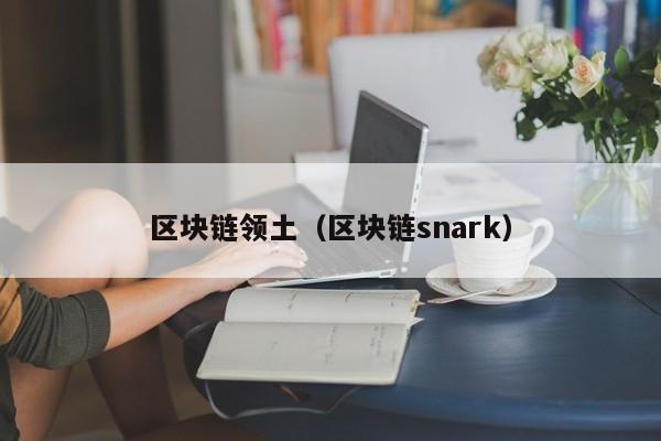 區塊鏈領土（區塊鏈snark）