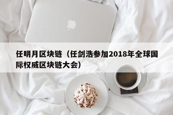 任明月區塊鏈（任劍浩參加2018年全球國際權威區塊鏈大會）