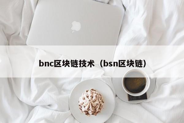 bnc區塊鏈技術（bsn區塊鏈）